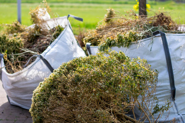 Best Electronics and E-Waste Disposal  in Terra Bella, CA